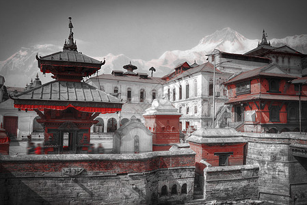 自由行走的猴子尼泊尔加德满都的帕舒帕蒂纳特寺庙里,排排的寺庙神殿黑白摄影帕舒帕蒂纳特神庙图片