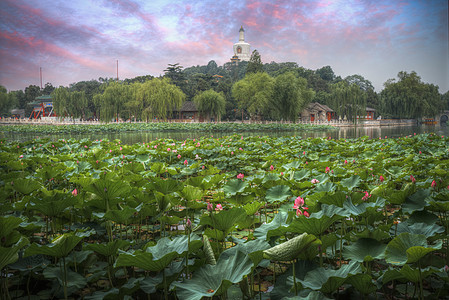 北海公园北京紫禁城西北的皇家花园中国北海公园图片