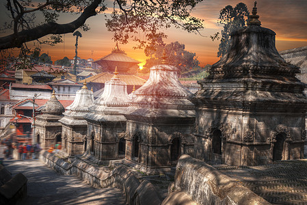 自由行走的猴子尼泊尔加德满都的帕舒帕蒂纳特寺庙里,排排的寺庙神殿图片