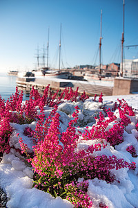 奥斯陆市的港口挪威奥斯陆市的港口图片