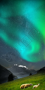 北极光,极光银河系山里的山羊风景如画的挪威峡湾北极光,极光图片