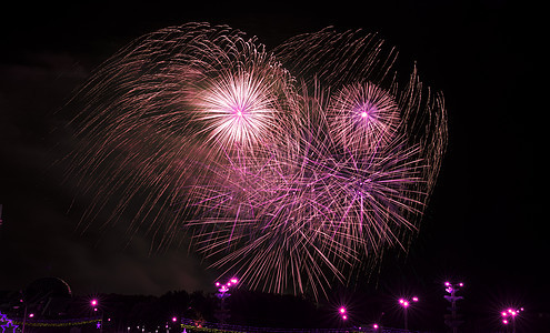 夜空下的节日烟花节日烟火图片