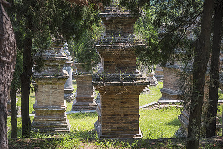 少林寺的森林宝塔中国少林寺的森林宝塔图片