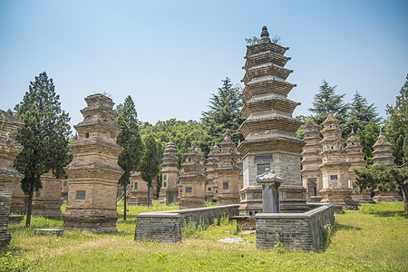 少林寺的森林宝塔中国少林寺的森林宝塔图片