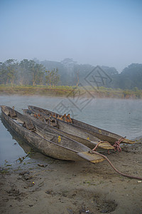 尼泊尔的奇旺保护区独木舟穿越河流穿过丛林图片