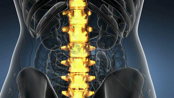脊骨背痛科学解剖扫描人类脊柱骨骼发光黄色背部骨头背痛图片