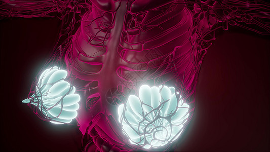 辉光乳腺X射线人体的科学解剖扫描人体可见辉光乳腺图片