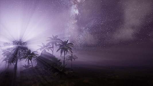 热带雨林上空的银河系的4k天体这幅图像的元素由美国宇航局提供热带雨林上空的银河系的4k天体图片
