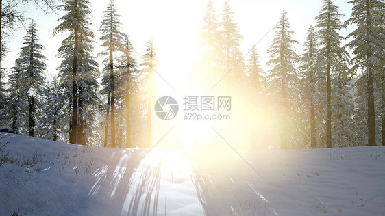 空中雪覆盖树木无人机镜头景观冬季自然美丽的欧洲森林山旅游白色著名田园旅游空中雪覆盖树木无人机镜头景观冬季图片