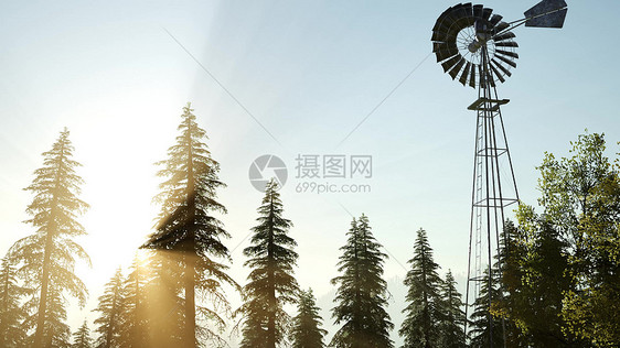 典型的旧风车涡轮机森林日落图片