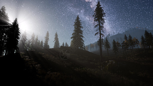 银河星,月光松树森林之上图片