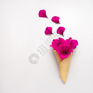 创意照片冰淇淋华夫饼锥与花灰色背景图片