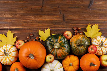 秋收生活与南瓜,苹果,榛子枫叶木制的背景木桌上的秋收图片