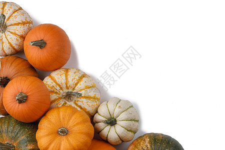 许多彩色南瓜框架隔离白色背景,秋收,万节感恩节的很多橙色的南瓜图片