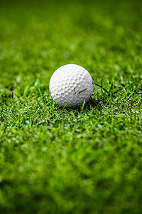 高尔夫球场绿草地上的高尔夫球,球场上的高尔夫球背景图片