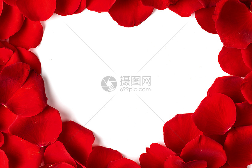 心形框架由玫瑰花瓣制成,白色花瓣的心框图片