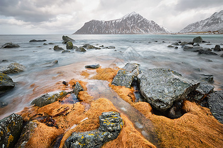 挪威海峡湾的岩石海岸,冬天雪斯卡桑登海滩,洛芬岛,挪威挪威峡湾的岩石海岸图片