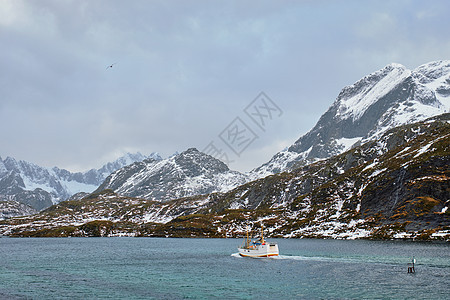 挪威峡湾的渔船挪威洛福腾群岛挪威峡湾的渔船图片