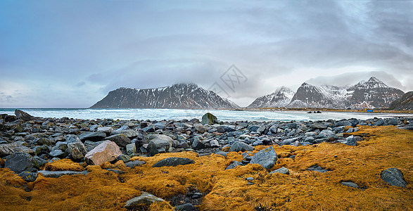 挪威海峡湾岩石海岸的全景,冬天雪斯卡桑登海滩,洛芬岛,挪威挪威峡湾的岩石海岸图片