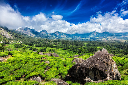 青山蓝天的绿茶种植园穆纳尔,喀拉拉邦茶园穆纳尔,喀拉拉邦图片