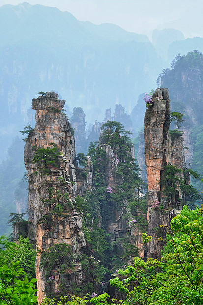 中国著名的旅游景点张家界石柱崖山雾云中,湖南武陵源,中国带着相机锅张家界山脉,中国图片