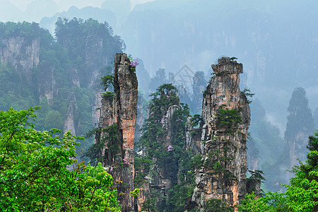 中国著名的旅游景点张家界石柱崖山雾云中,湖南武陵源,中国带着相机锅张家界山脉,中国图片