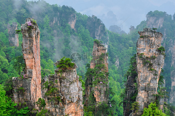 中国著名的旅游景点张家界石柱崖山雾云中,湖南武陵源,中国张家界山脉,中国图片