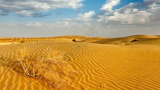 塔尔沙漠沙丘全景萨姆沙丘,拉贾斯坦邦,印度印度拉贾斯坦邦塔尔沙漠沙丘图片