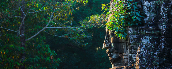 柬埔寨吴哥巴音寺古石全景,种植植物柬埔寨吴哥巴音寺正图片
