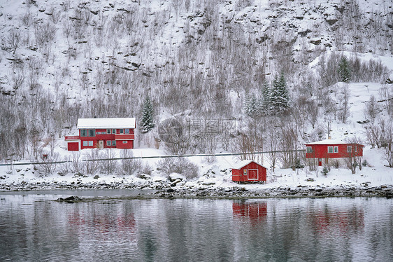 传统的红色Rorbu房子峡湾岸边冬天的雪挪威洛福腾群岛挪威的RDRorbu房子冬天图片