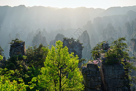 中国著名的旅游景点张家界石柱崖山日落湖南武陵源张家界山脉,中国图片