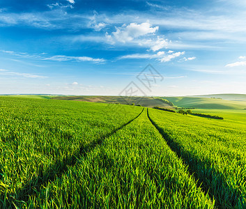 滚动的夏季景观与绿色的草地下蓝天滚动的夏季景观图片