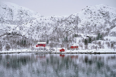 传统的红色Rorbu房子峡湾岸边冬天的雪挪威洛福腾群岛挪威的RDRorbu房子冬天图片