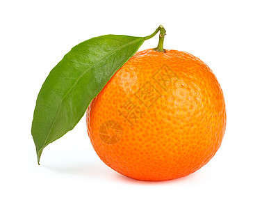 橙色橘子,叶分离白色背景上橙橘与叶分离图片