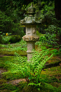 绿色蕨类植物灯笼日本花园,公园,荷兰海牙日本花园,荷兰海牙图片