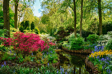 科肯霍夫花园,也被称为欧洲花园世界上最大的花园之荷兰基肯霍夫花园利塞,荷兰图片