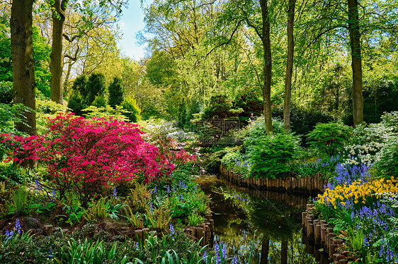 科肯霍夫花园,也被称为欧洲花园世界上最大的花园之荷兰基肯霍夫花园利塞,荷兰图片