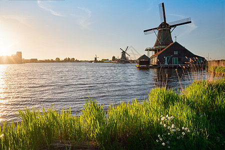 日落时,荷兰著名的旅游景点ZaanseSchans的风车Zaandam,荷兰日落时荷兰的赞斯山的风车赞丹姆,尼瑟图片