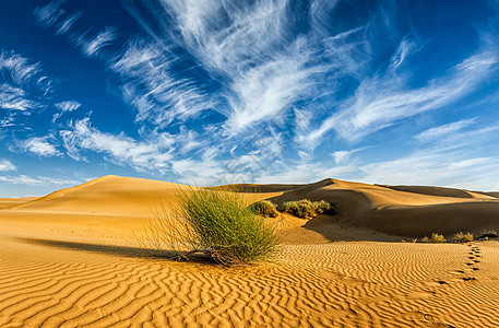 塔尔沙漠山姆沙丘全景拉贾斯坦邦,印度沙漠中的沙丘图片