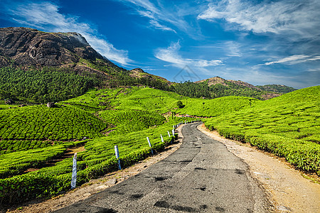 风景道绿茶种植园,穆纳尔,喀拉拉邦,印度印度茶园道路图片