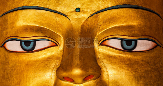 释迦牟尼佛像的全景图像靠近藏传佛教寺院希伊,拉达克,释迦牟尼佛雕像脸紧贴图片