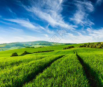 滚动的夏季景观与绿色的草地下蓝天滚动的夏季景观背景图片