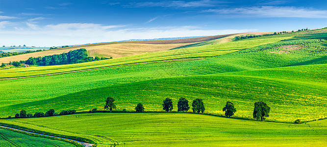莫拉维亚滚动景观与树木的全景捷克共国南莫拉维亚南莫拉维亚的滚动景观与树木图片