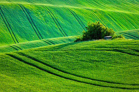 欧洲农村壁纸莫拉维亚滚动景观,莫拉维亚,捷克共国莫拉维亚滚动景观图片