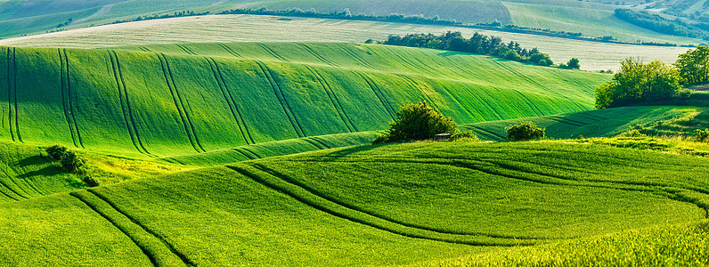 伽吉鲁壁纸捷克的草地高清图片