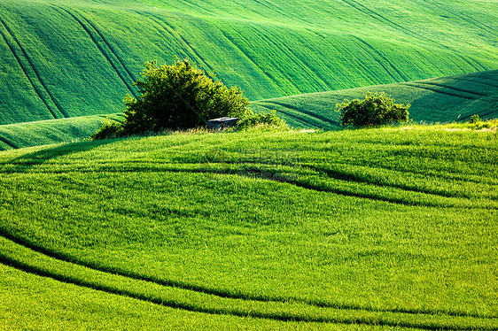 欧洲农村壁纸莫拉维亚滚动景观,莫拉维亚,捷克共国莫拉维亚滚动景观图片