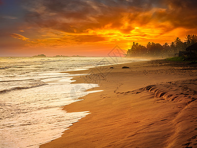 海洋海滩上的热带日落斯里兰卡海边日落图片