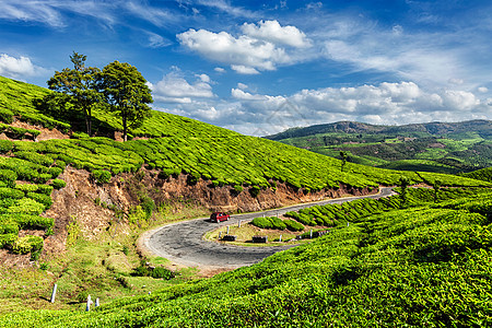 喀拉拉印度旅行背景汽车道路上的绿色茶园穆纳尔,喀拉拉,印度印度喀拉拉邦穆纳尔的绿茶种植园图片