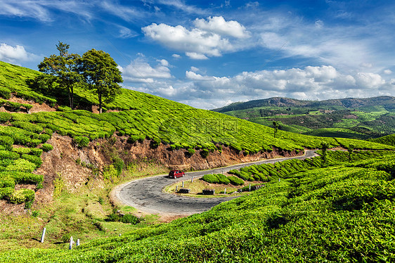喀拉拉印度旅行背景汽车道路上的绿色茶园穆纳尔,喀拉拉,印度印度喀拉拉邦穆纳尔的绿茶种植园图片