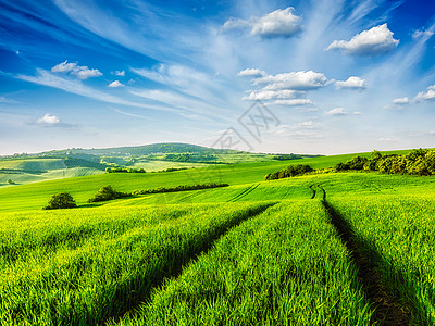 捷克共国莫拉维亚的绿色田野莫拉维亚的绿色田野背景图片
